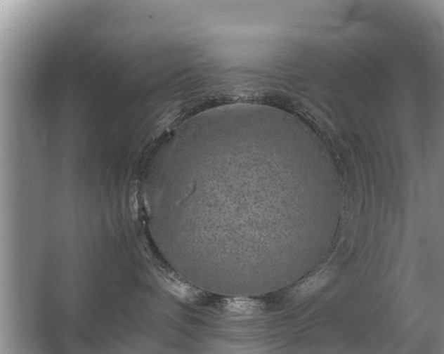 X0000067460336200604142331