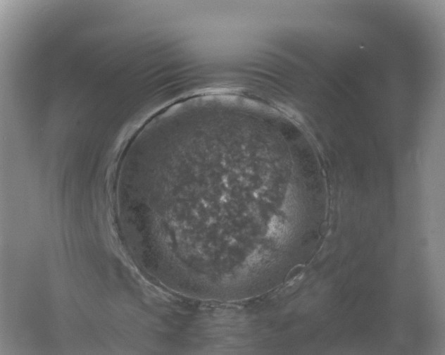 X0000067460337200604142330