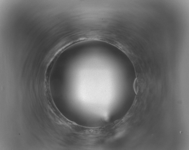 X0000067460338200604142330