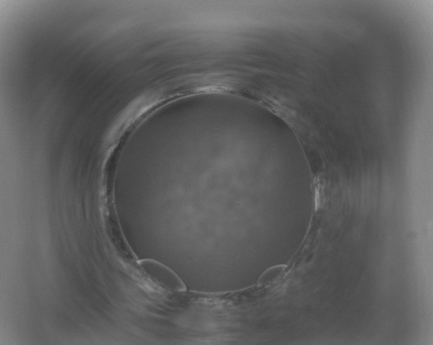 X0000067460339200604142330