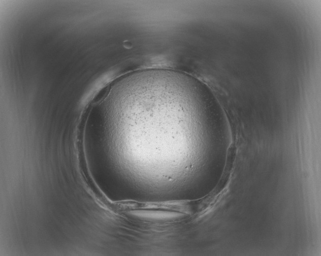 X0000067460341200604142330