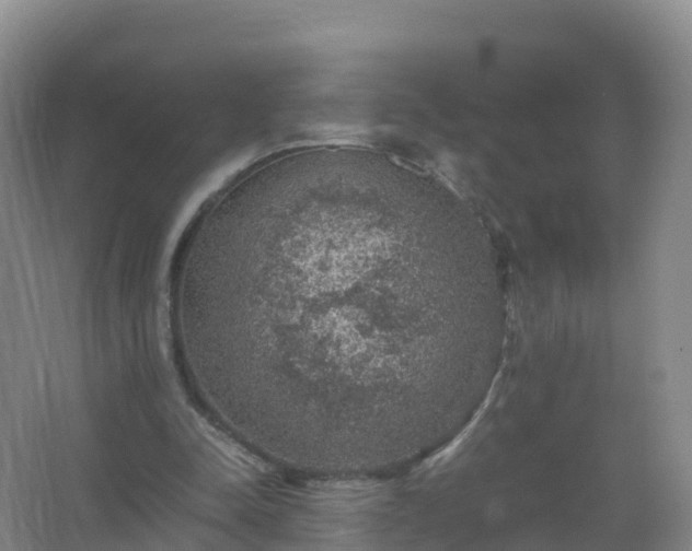 X0000067460342200604142330