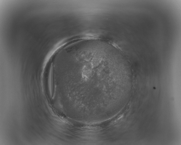 X0000067460343200604142330