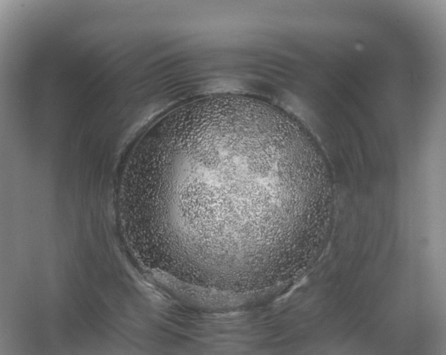 X0000067460345200604142330