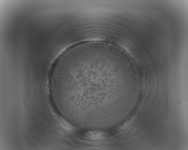 X0000067460351200604142330