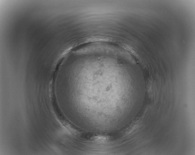 X0000067460352200604142330