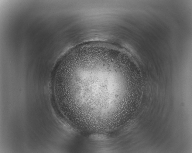 X0000067460354200604142330