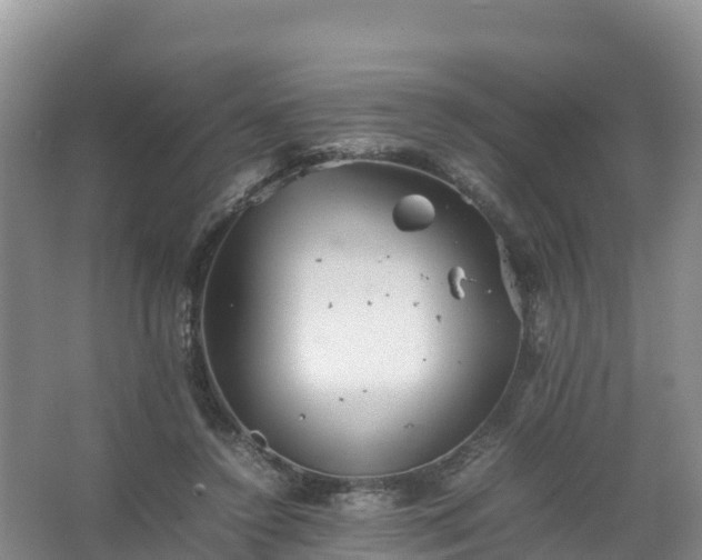 X0000067460356200604142330