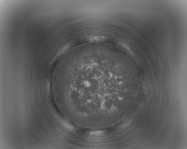 X0000067460357200604142330