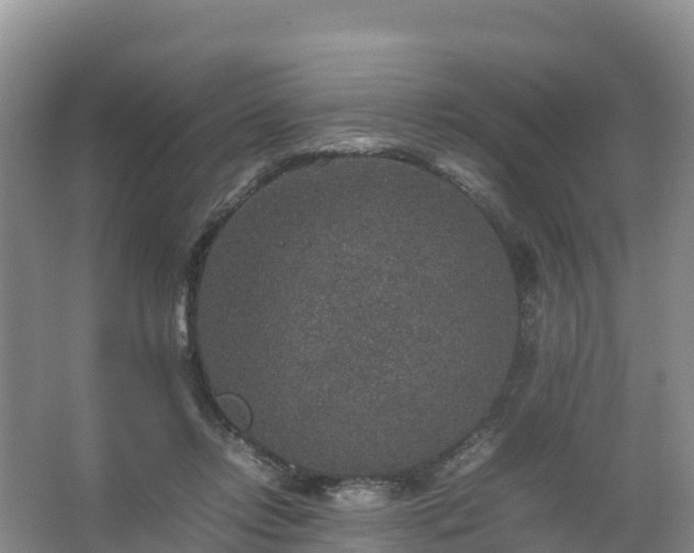 X0000067460358200604142330