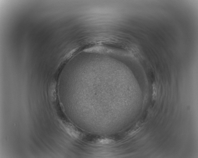 X0000067460360200604142330