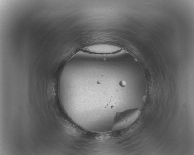 X0000067460362200604142330