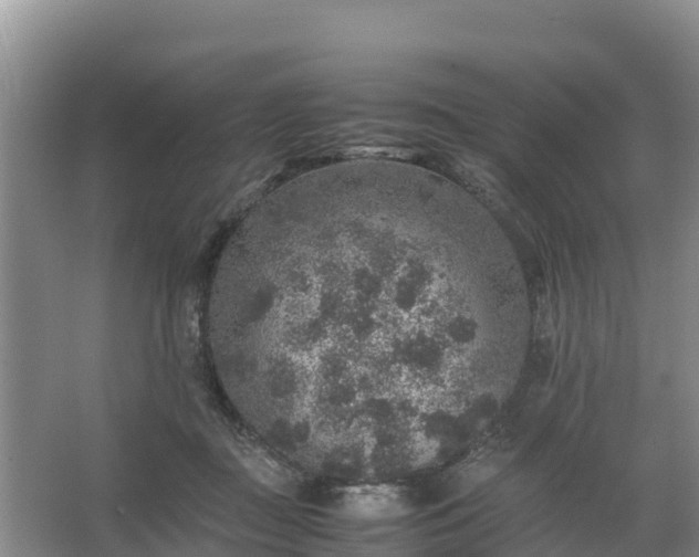 X0000067460363200604142330