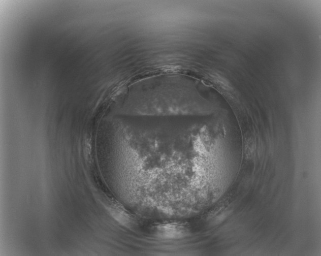 X0000067460365200604142331