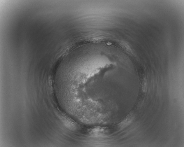 X0000067460366200604142331