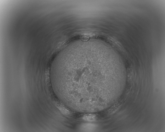 X0000067460369200604142331