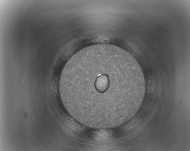 X0000067460370200604142331