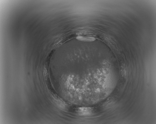 X0000067460371200604142331