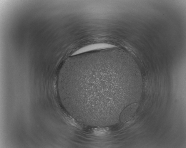 X0000067460373200604142331