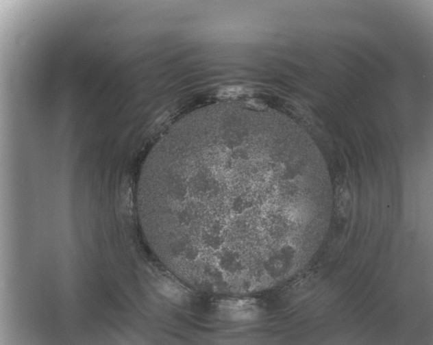 X0000067460375200604142331