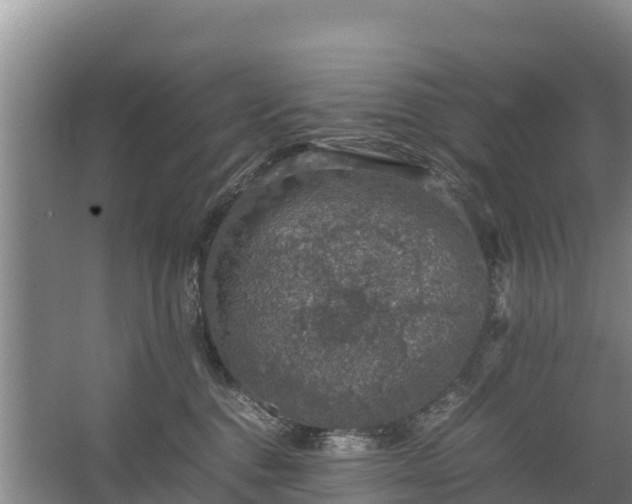 X0000067460376200604142331