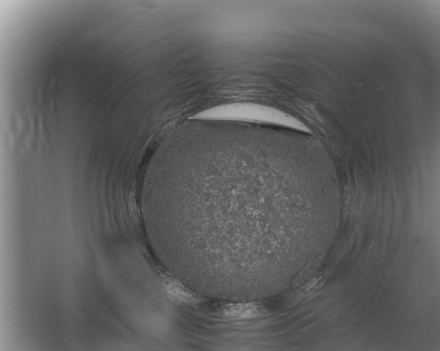 X0000067460377200604142331