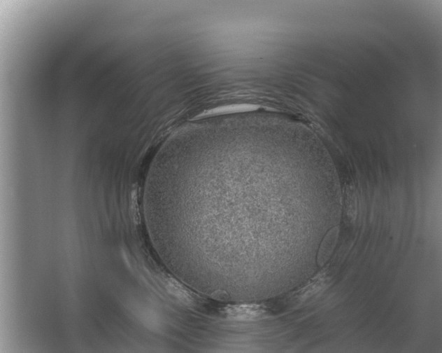 X0000067460378200604142331