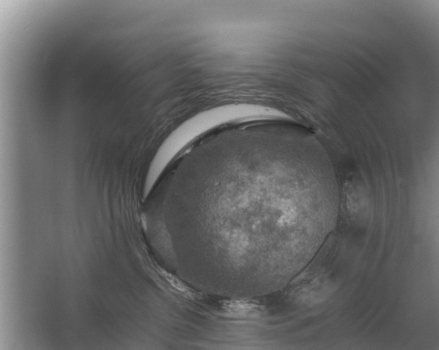 X0000067460380200604142331