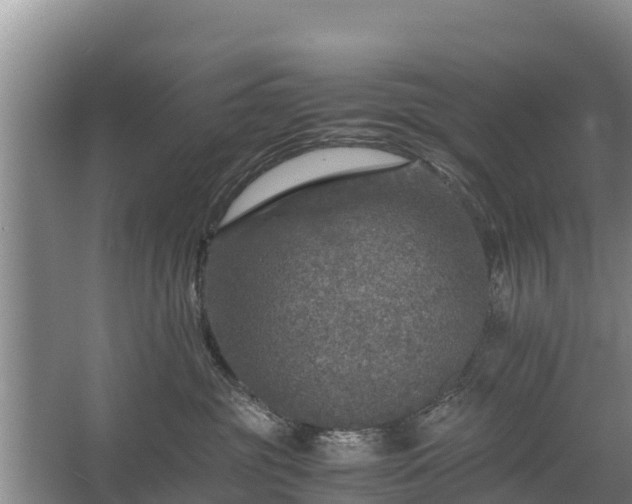 X0000067460381200604142331