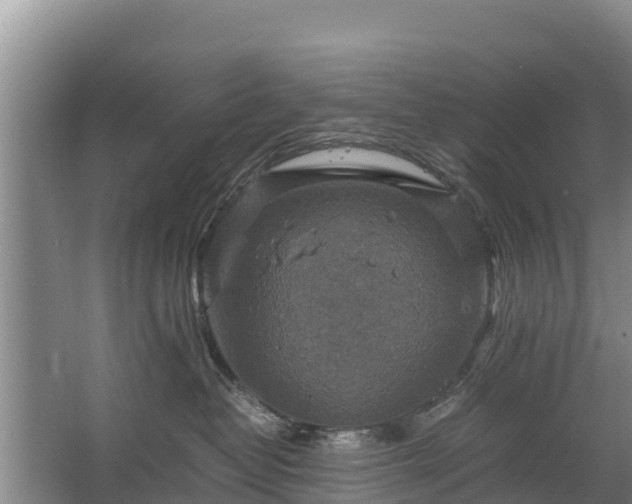 X0000067460382200604142331