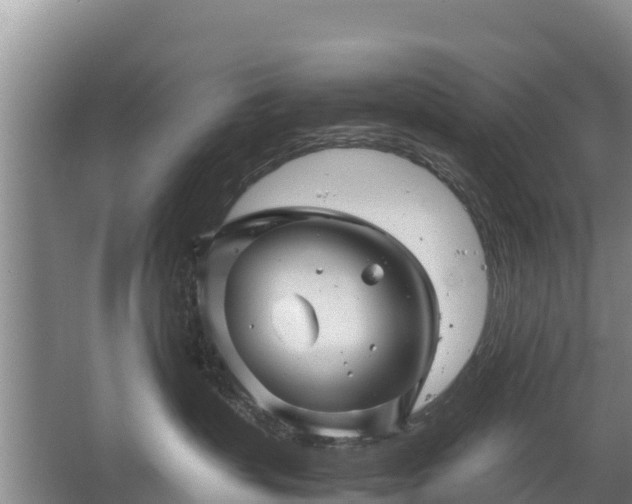 X0000067460383200604142331