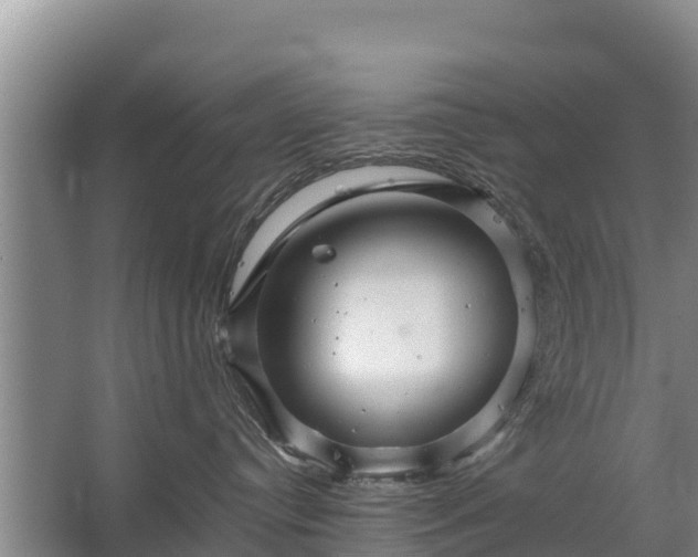 X0000067460384200604142331