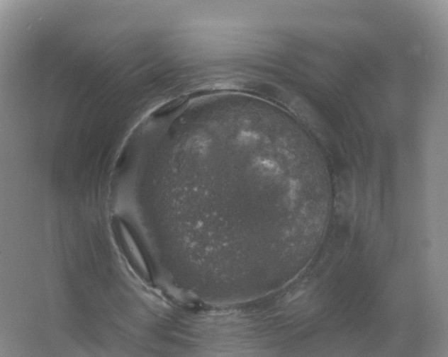 X0000067460386200604142330