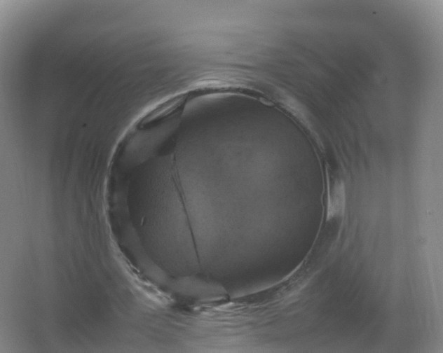 X0000067460387200604142330