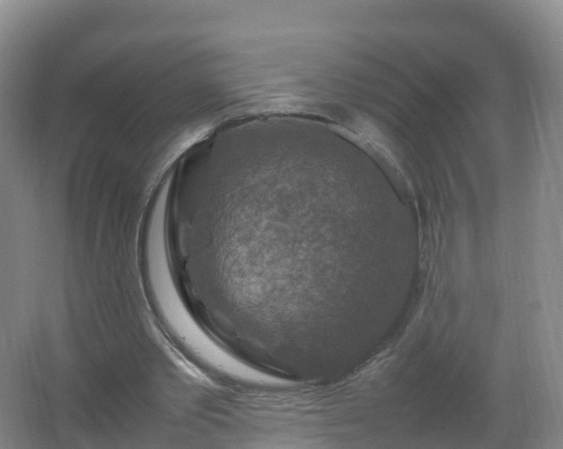 X0000067460389200604142330