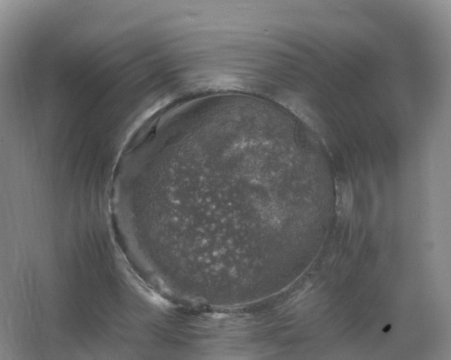 X0000067460390200604142330