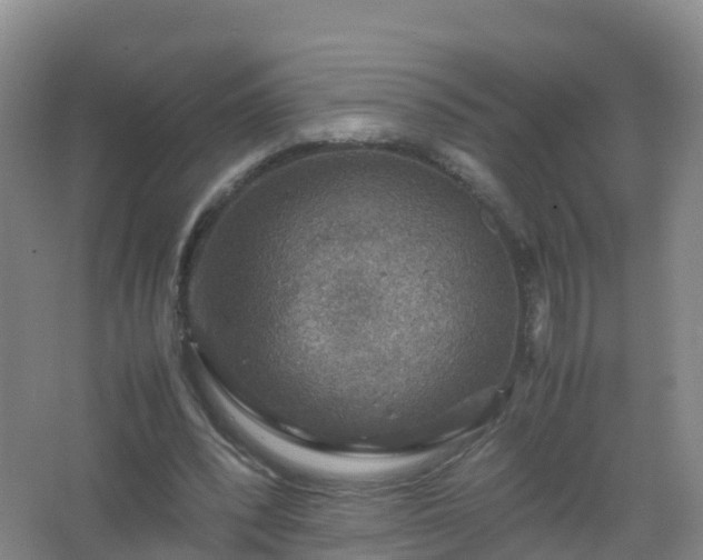 X0000067460392200604142330