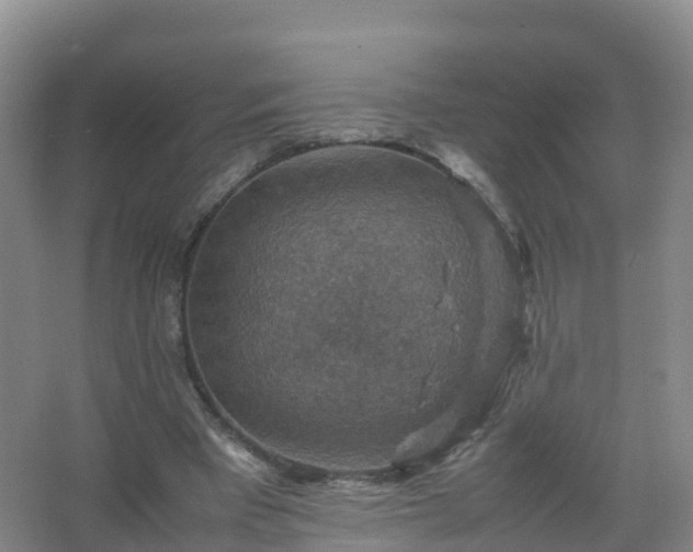 X0000067460393200604142330