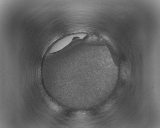 X0000067460394200604142330