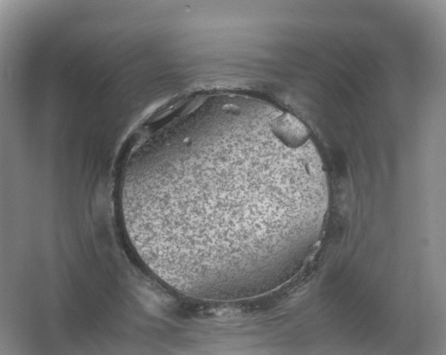 X0000067460395200604142330