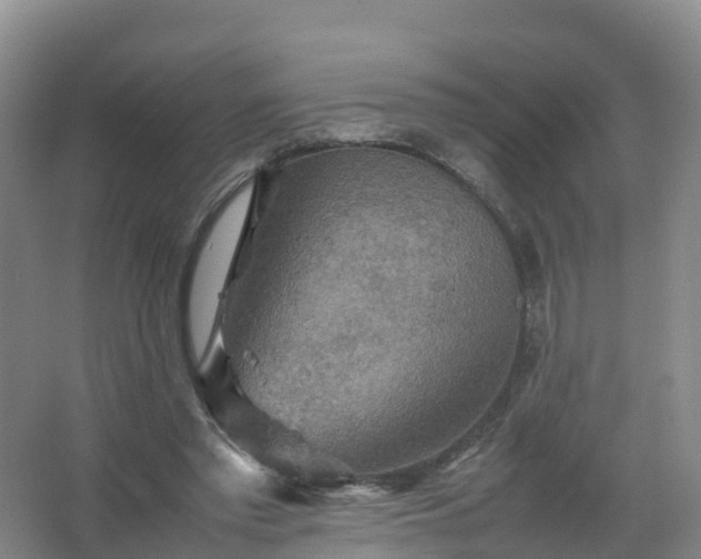 X0000067460397200604142330