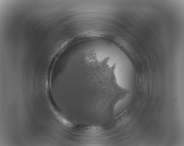 X0000067460398200604142330