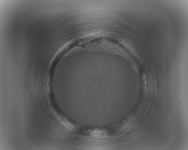 X0000067460400200604142330