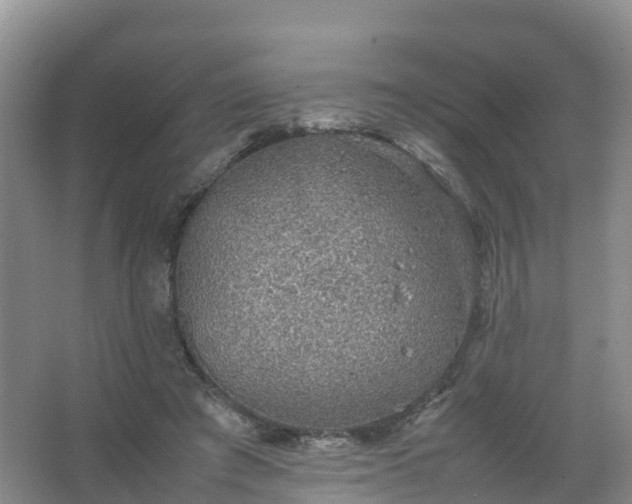 X0000067460401200604142330