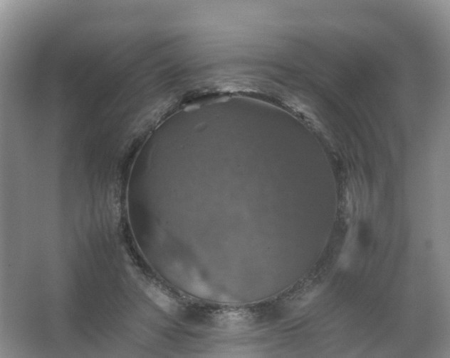 X0000067460402200604142330