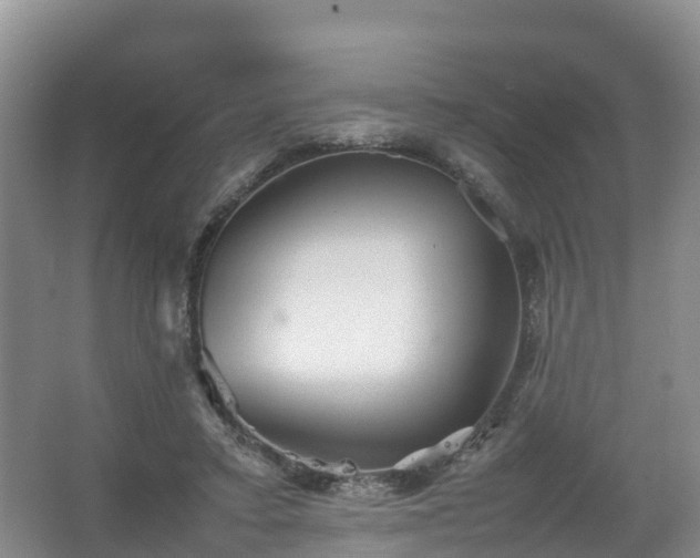 X0000067460403200604142330