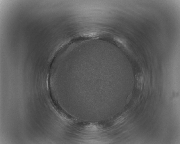 X0000067460404200604142330