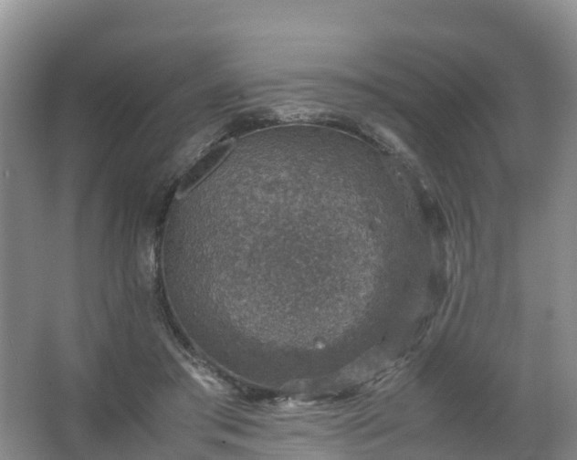 X0000067460405200604142330