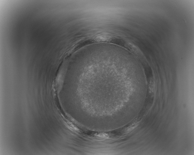 X0000067460409200604142330