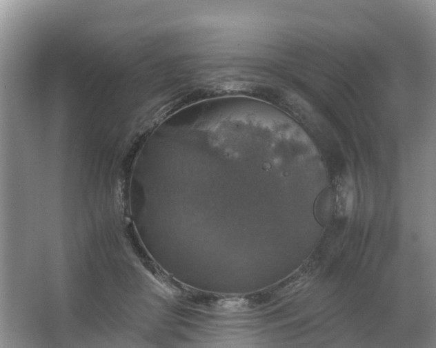 X0000067460410200604142330